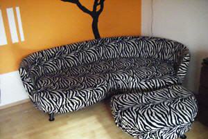 gebrauchte Möbel Couch Sofa
