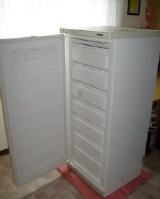 gebrauchter Eisschrank