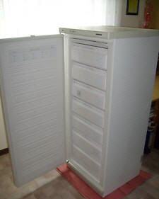 gebrauchter Eisschrank
