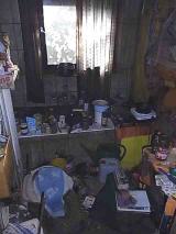 Containerdienst bei Messie Wohnung