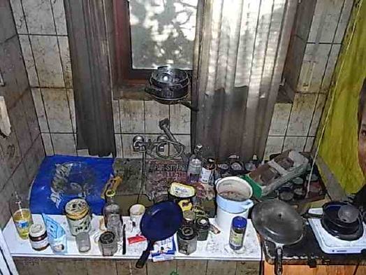 Mit Containerdienst bei Messie Wohnung