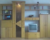 gebrauchte Möbel Wohnzimmerschrank