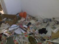 Ohne Containerdienst bei Messie Syndrom